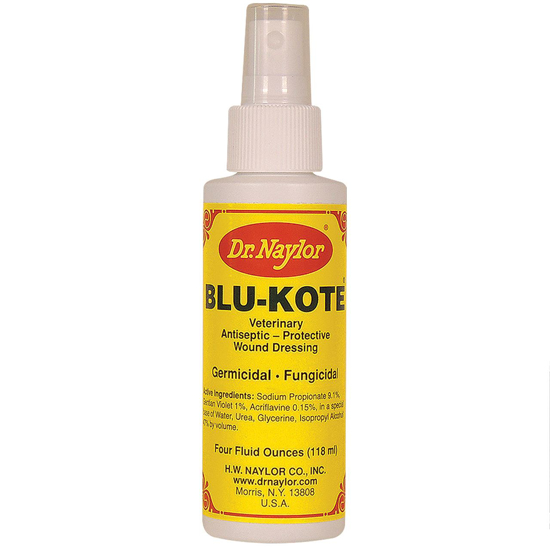 Picture of Dr. Naylor Blu-Kote Pump Spray Bottle--4 oz.