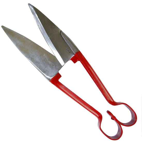 Picture of Sheep Shears - 5"