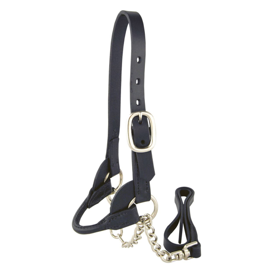 Picture of Sheep/Bucket Calf Halter - Black