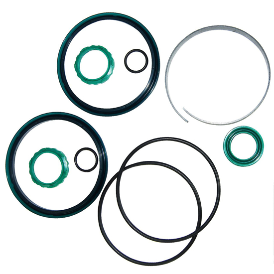 Picture of Seal Repair Kit f/Large Head Gate Cylinder #4215005