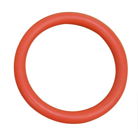 Picture of O-Ring