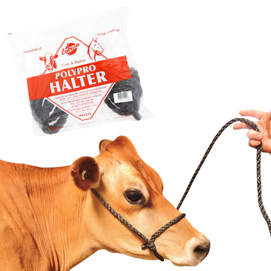 Picture of Coburn PolyPro Cow Halter, Individually Bagged