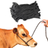 Bulk PolyPro Cow Halter--Black