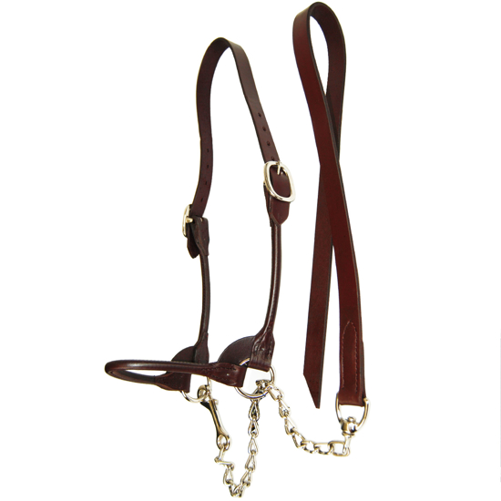 Picture of Round Strap Show Halter Size Large