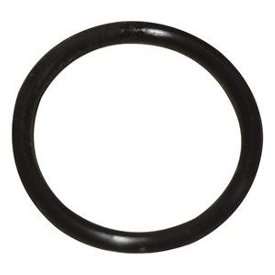 Picture of O-Ring f/ Waikato Meter