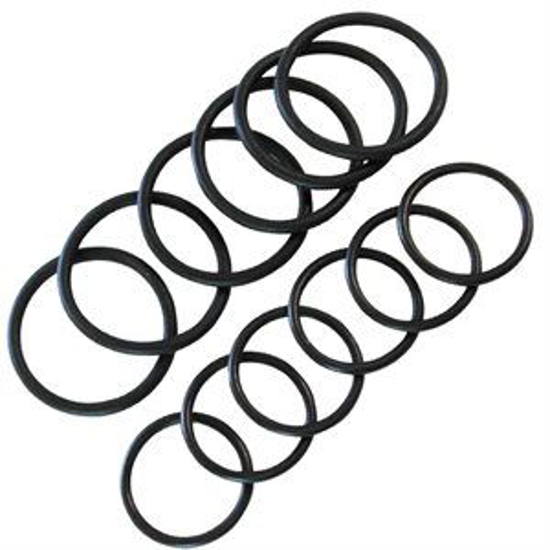 Picture of Ambic Milk Sampler O-Ring Pack--12 O-Rings