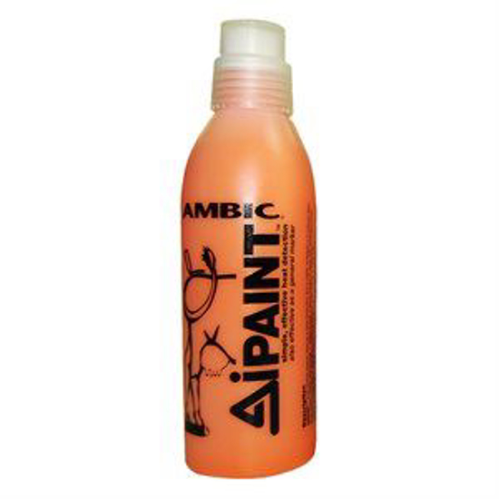 Ambic 16.9 Oz. Ai Tail Paint--Orange