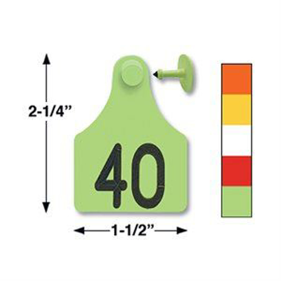 Picture of Allflex Large Tamperproof Eartag 25 tags