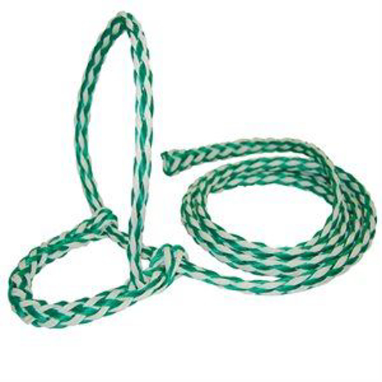 Picture of 1/2" Woven Polyethylene Halter--Green/White