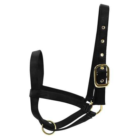 Picture of Bull Turn-Out Halter