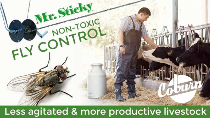 Mr. Sticky - Non-toxic fly control for farms and more