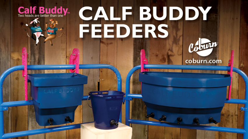 Video: Calf Buddy Feeders and Nipples