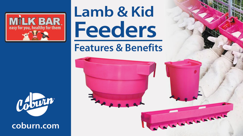 Video: Milk Bar Lamb & Kid Feeders