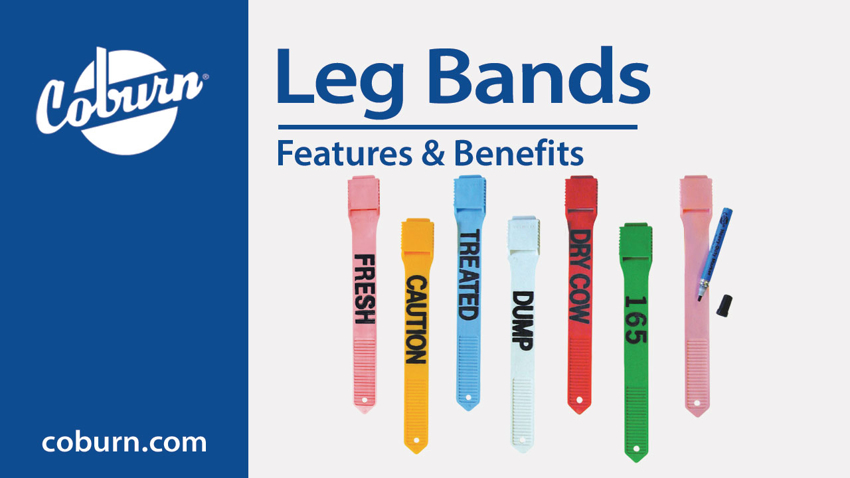 Video: Coburn Leg Bands