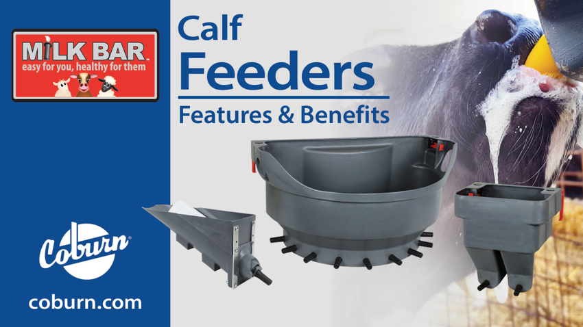 Video: Health Benefits of Milk Bar Calf Feeders