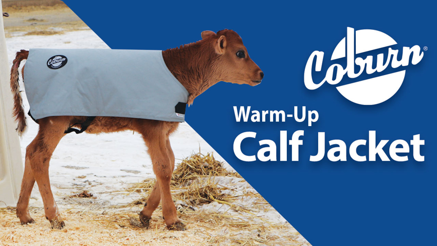 Coburn Calf Jackets