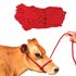 Bulk PolyPro Cow Halter--Red